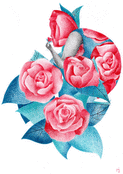 Roses envo&ucirc;tantes et lumi&egrave;re douce